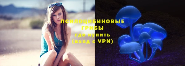 стаф Нефтекумск