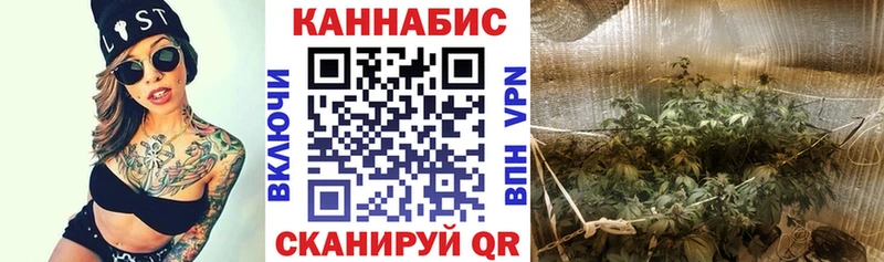 где продают наркотики блэк спрут рабочий сайт Марихуана THC 21% Пересвет